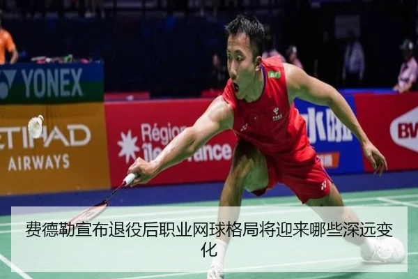 fei-de-lei-xuan-bu-tui-yi-hou-zhi-ye-wang-qiu-ge-ju-jiang-ying-lai-na-xie-shen-yuan-bian-hua-2-393.jpg