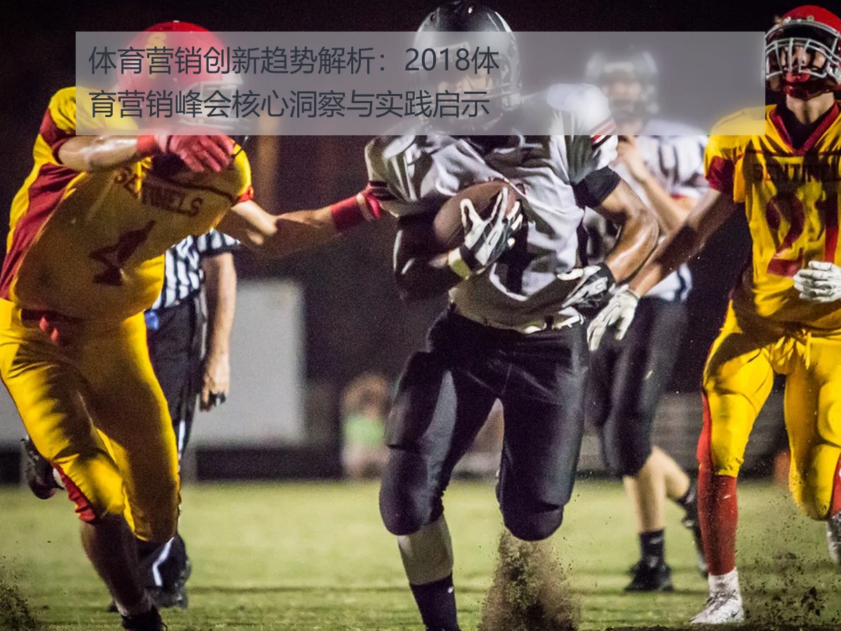 体育营销峰会2018回顾:行业趋势与赛事合作深度分析